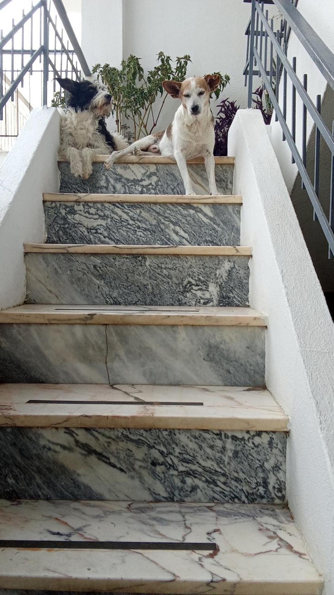 Ztir Apartment Olhao Ngoại thất bức ảnh